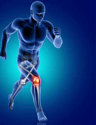 Ana Sayfa 2 on capraz bag 2